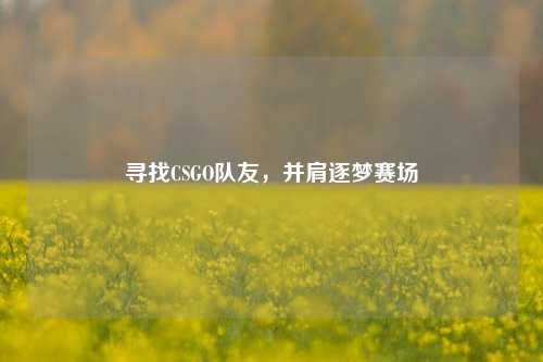 寻找CSGO队友,并肩逐梦赛场