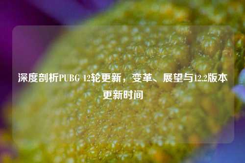深度剖析PUBG 12轮更新,变革、展望与12.2版本更新时间