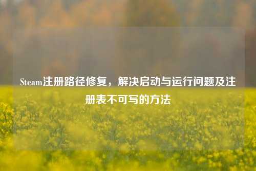Steam注册路径修复，解决启动与运行问题及注册表不可写的 *** 