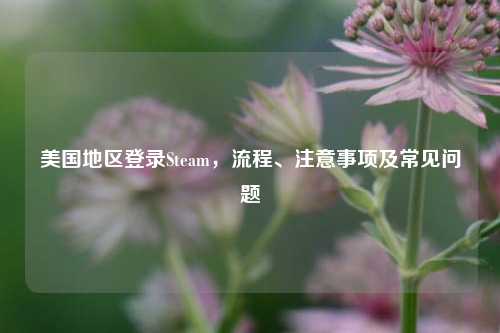 美国地区登录Steam，流程、注意事项及常见问题
