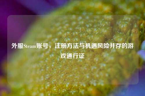 外服Steam账号，注册 *** 与机遇风险并存的游戏通行证