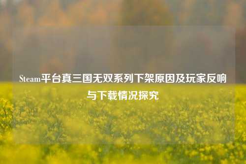 Steam平台真三国无双系列下架原因及玩家反响与下载情况探究