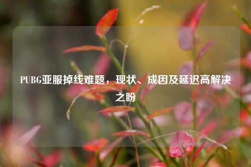 PUBG亚服掉线难题,现状、成因及延迟高解决之盼
