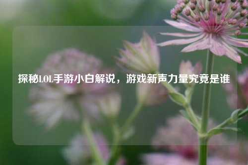 探秘LOL手游小白解说,游戏新声力量究竟是谁