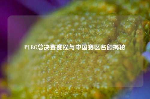 PUBG总决赛赛程与中国赛区名额揭秘