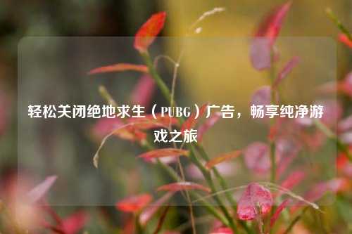 轻松关闭绝地求生(PUBG)广告,畅享纯净游戏之旅