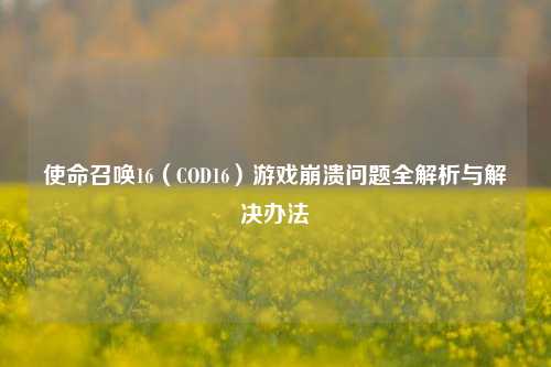 使命召唤16(COD16)游戏崩溃问题全解析与解决办法