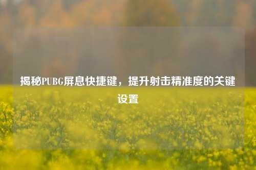 揭秘PUBG屏息快捷键,提升射击精准度的关键设置