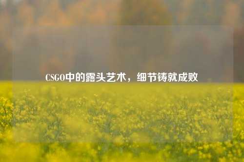 CSGO中的露头艺术,细节铸就成败