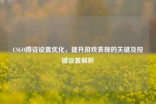 CSGO蹲姿设置优化,提升游戏表现的关键及按键设置解析