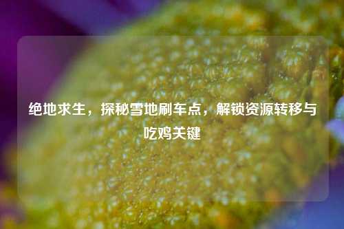 绝地求生,探秘雪地刷车点,解锁资源转移与吃鸡关键