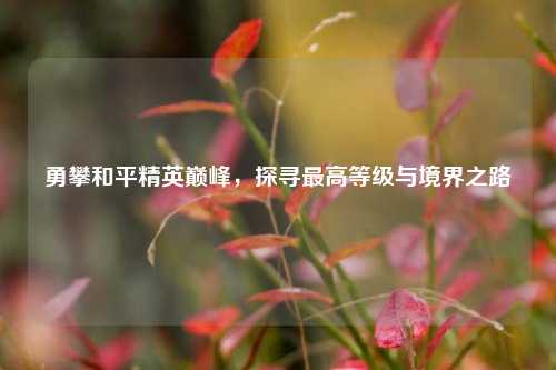 勇攀和平精英巅峰,探寻更高等级与境界之路