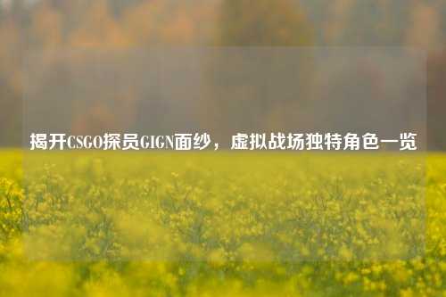 揭开CSGO探员GIGN面纱,虚拟战场独特角色一览