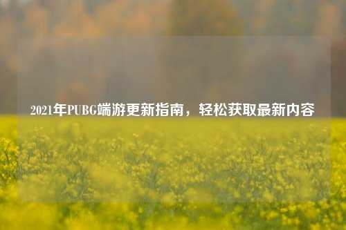 2021年PUBG端游更新指南,轻松获取最新内容