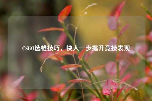 CSGO选枪技巧,快人一步提升竞技表现