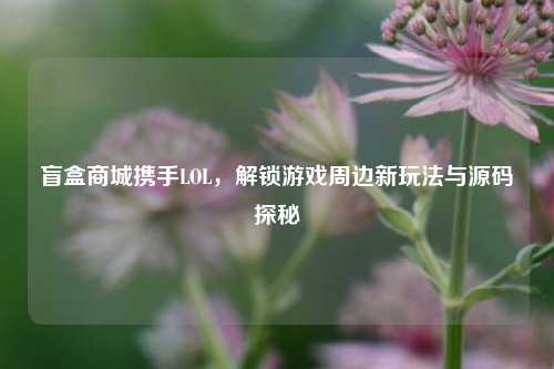 盲盒商城携手LOL,解锁游戏周边新玩法与源码探秘