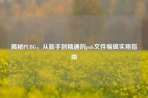 揭秘PUBG,从新手到精通的pub文件编辑实用指南