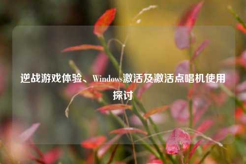 逆战游戏体验、Windows激活及激活点唱机使用探讨