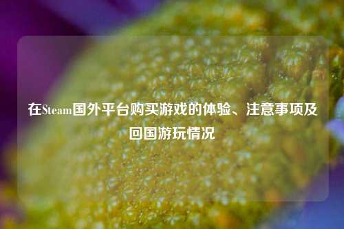 在Steam国外平台购买游戏的体验、注意事项及回国游玩情况