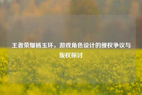 王者荣耀杨玉环,游戏角色设计的侵权争议与版权探讨