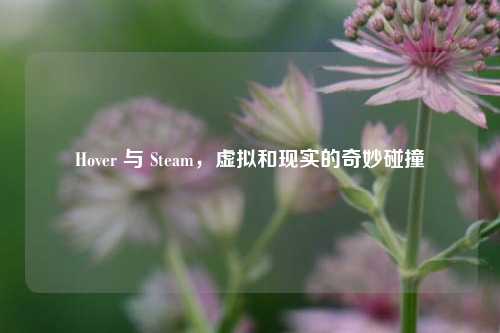 Hover 与 Steam,虚拟和现实的奇妙碰撞
