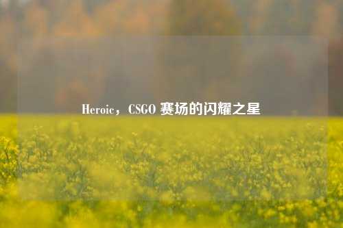 Heroic,CSGO 赛场的闪耀之星