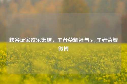 峡谷玩家欢乐集结,王者荣耀社与ⅴg王者荣耀微博