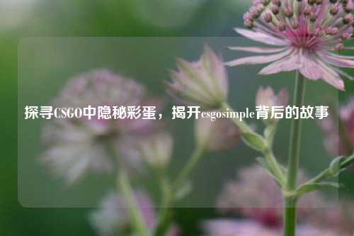 探寻CSGO中隐秘彩蛋,揭开csgosimple背后的故事