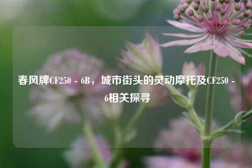 春风牌CF250 - 6B,城市街头的灵动摩托及CF250 - 6相关探寻