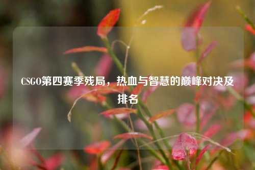 CSGO第四赛季残局,热血与智慧的巅峰对决及排名