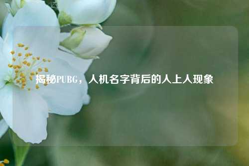 揭秘PUBG,人机名字背后的人上人现象