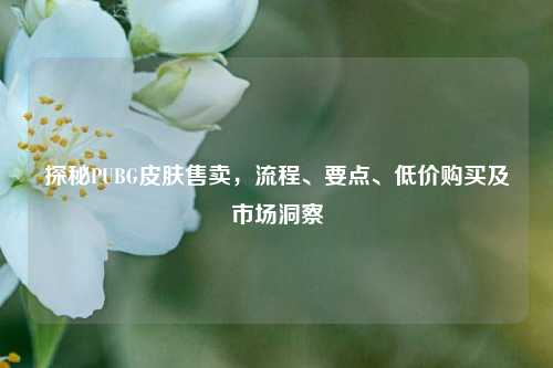 探秘PUBG皮肤售卖,流程、要点、低价购买及市场洞察