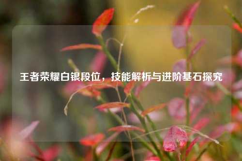 王者荣耀白银段位,技能解析与进阶基石探究