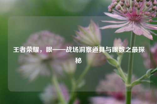 王者荣耀,眼——战场洞察道具与眼数之最探秘