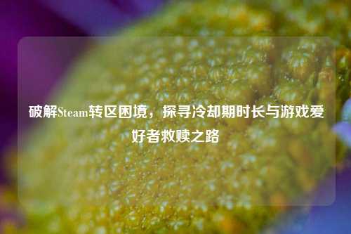 破解Steam转区困境,探寻冷却期时长与游戏爱好者救赎之路