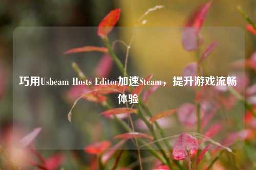 巧用U***eam Hosts Editor加速Steam,提升游戏流畅体验