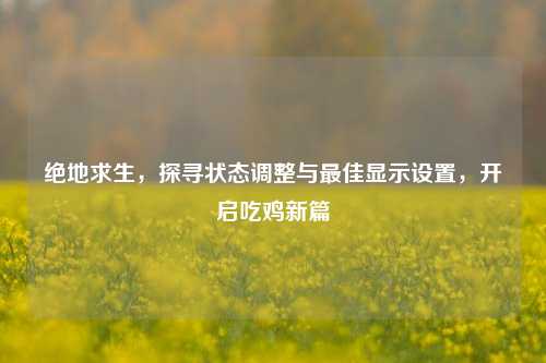 绝地求生,探寻状态调整与更佳显示设置,开启吃鸡新篇