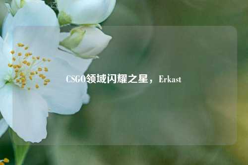 CSGO领域闪耀之星,Erkast
