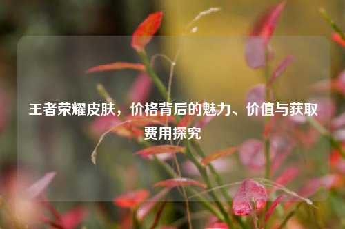 王者荣耀皮肤,价格背后的魅力、价值与获取费用探究