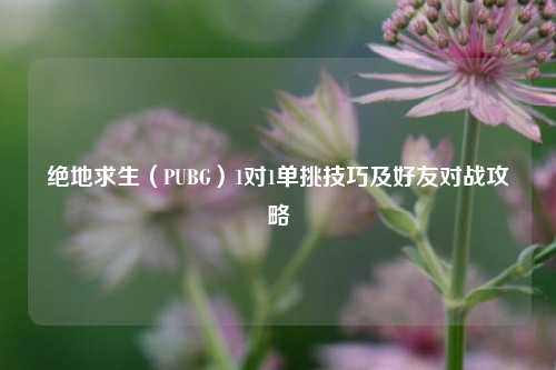 绝地求生(PUBG)1对1单挑技巧及好友对战攻略