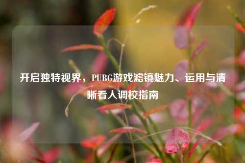 开启独特视界,PUBG游戏滤镜魅力、运用与清晰看人调校指南