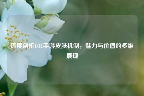 深度剖析LOL手游皮肤机制,魅力与价值的多维展现
