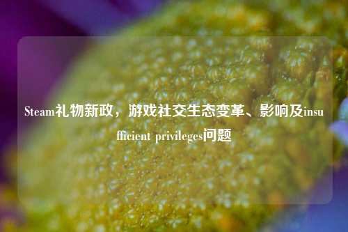 Steam礼物新政,游戏社交生态变革、影响及insufficient privileges问题