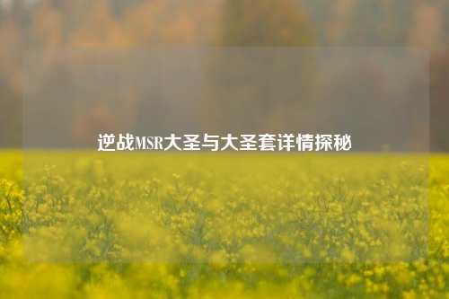 逆战MSR大圣与大圣套详情探秘