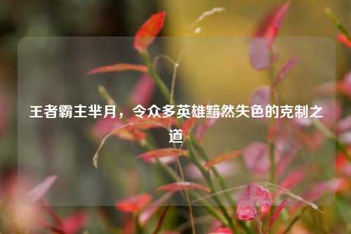 王者霸主芈月,令众多英雄黯然失色的克制之道