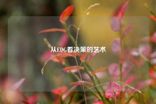 从EDG看决策的艺术
