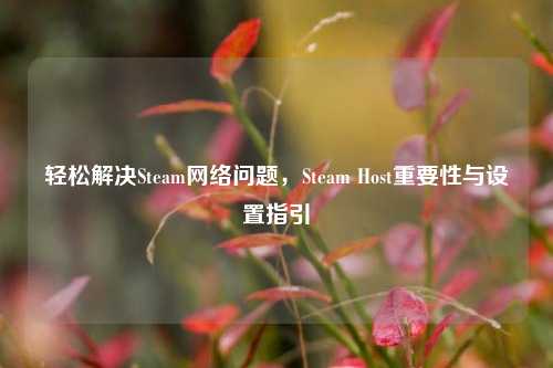轻松解决Steam *** 问题,Steam Host重要性与设置指引
