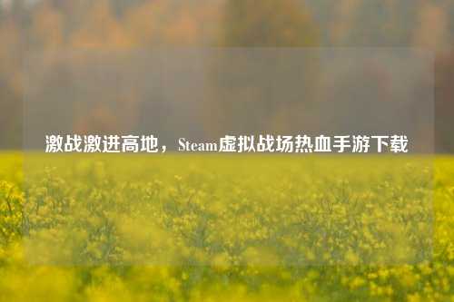激战激进高地,Steam虚拟战场热血手游下载