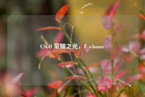 CSGO 荣耀之光,E - honor
