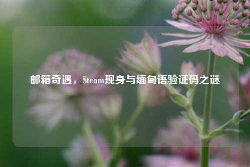 邮箱奇遇,Steam现身与缅甸语验证码之谜